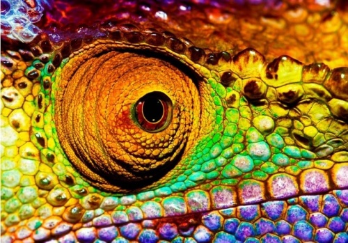 порошковая краска крокодил